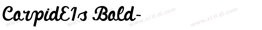 CorpidE1s Bold字体转换